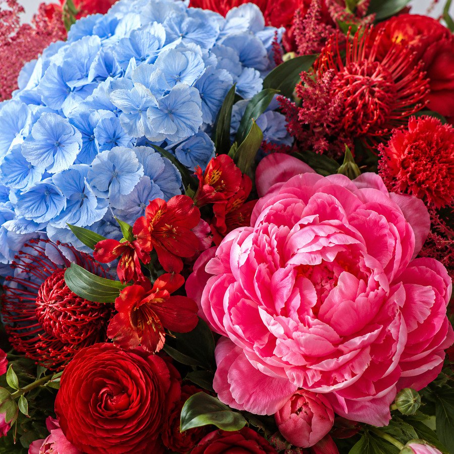 Kontraststrauß aus hellblauer Hortensie und pinker Pfingstrose